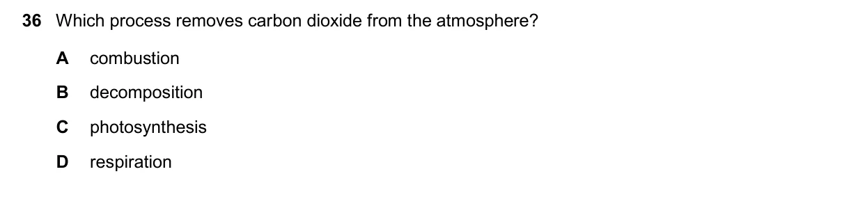 Question 36, November 2024, 0610 Paper 13