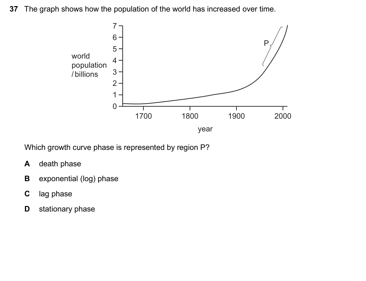 Question 37, November 2024, 0610 Paper 13
