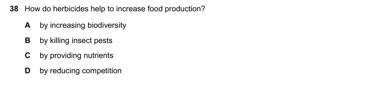 Question 38, November 2024, 0610 Paper 13