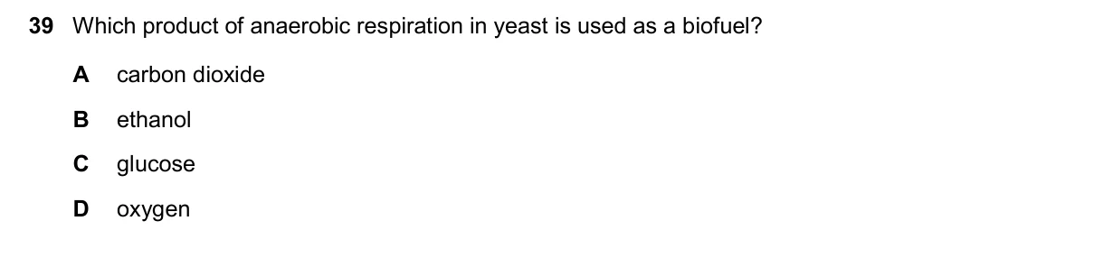 Question 39, November 2024, 0610 Paper 13