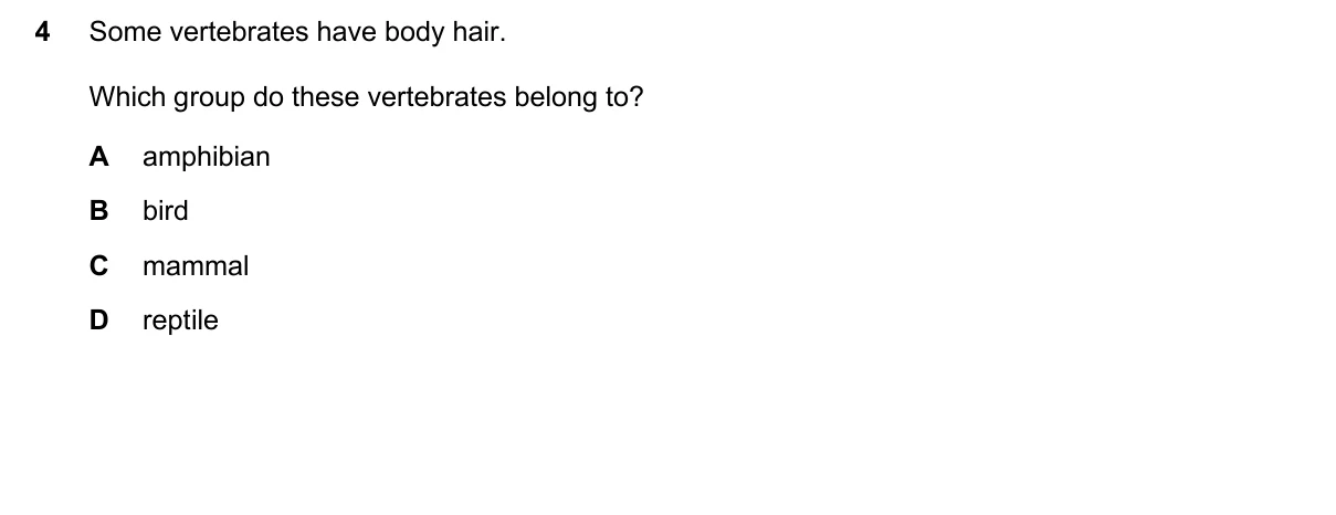 Question 4, November 2024, 0610 Paper 13