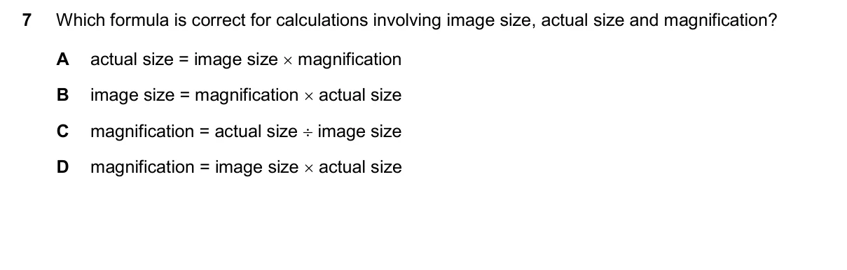 Question 7, November 2024, 0610 Paper 13