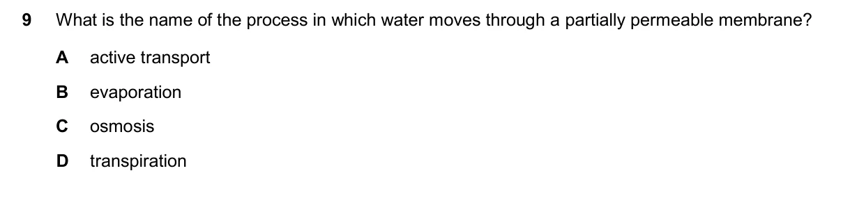 Question 9, November 2024, 0610 Paper 13