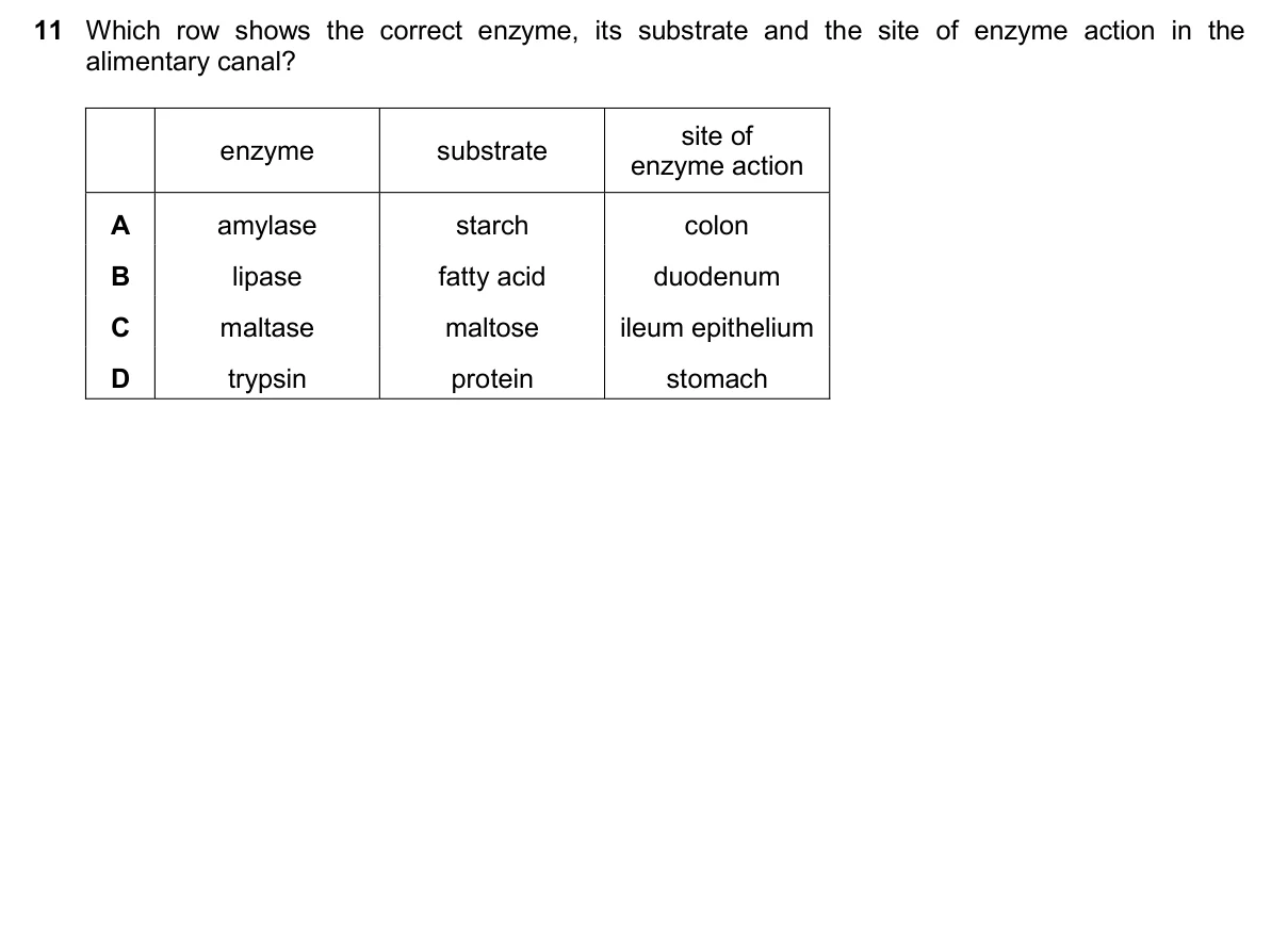 Question 11, November 2024, 0610 Paper 23
