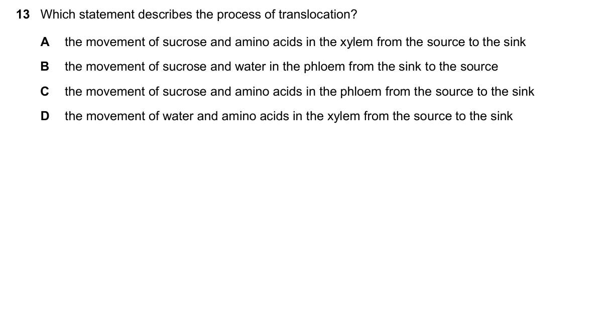 Question 13, November 2024, 0610 Paper 23