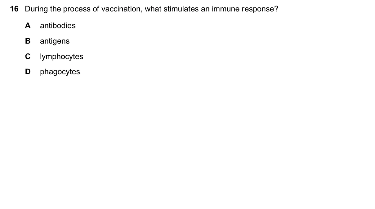 Question 16, November 2024, 0610 Paper 23