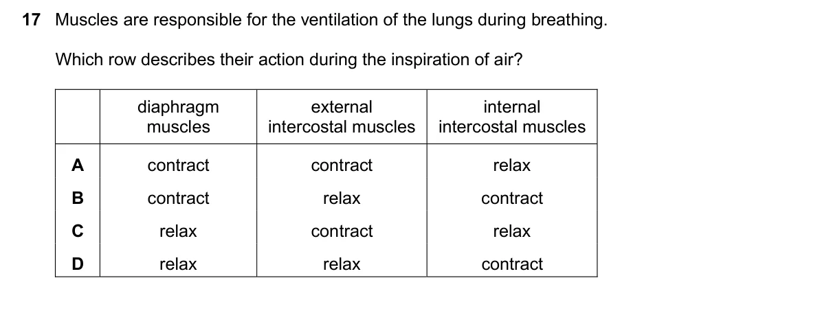 Question 17, November 2024, 0610 Paper 23