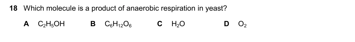 Question 18, November 2024, 0610 Paper 23
