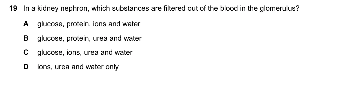 Question 19, November 2024, 0610 Paper 23