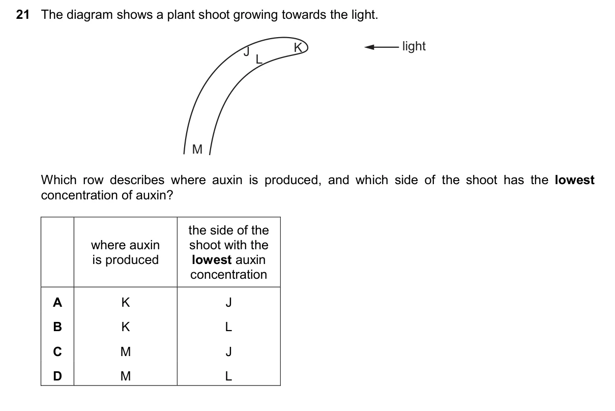 Question 21, November 2024, 0610 Paper 23