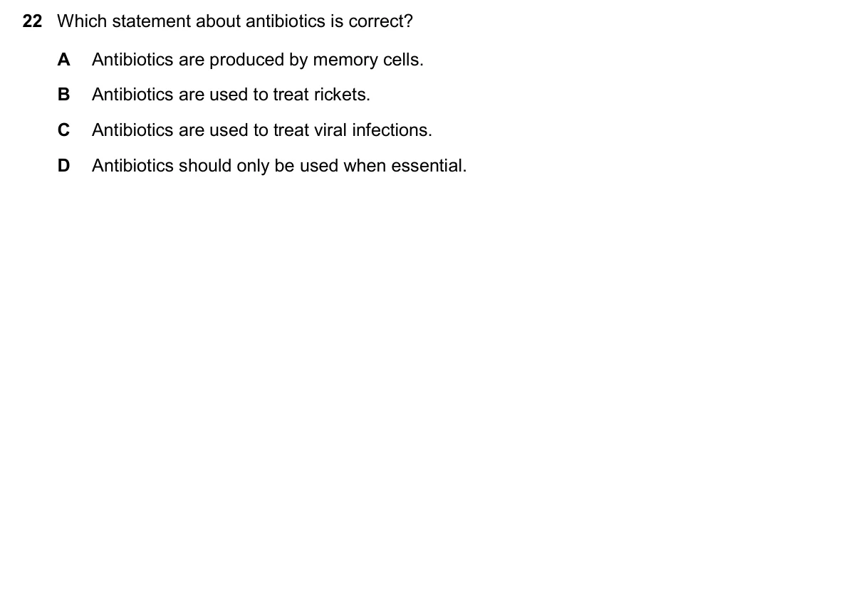 Question 22, November 2024, 0610 Paper 23