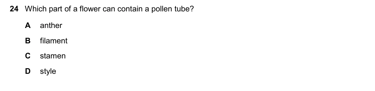 Question 24, November 2024, 0610 Paper 23