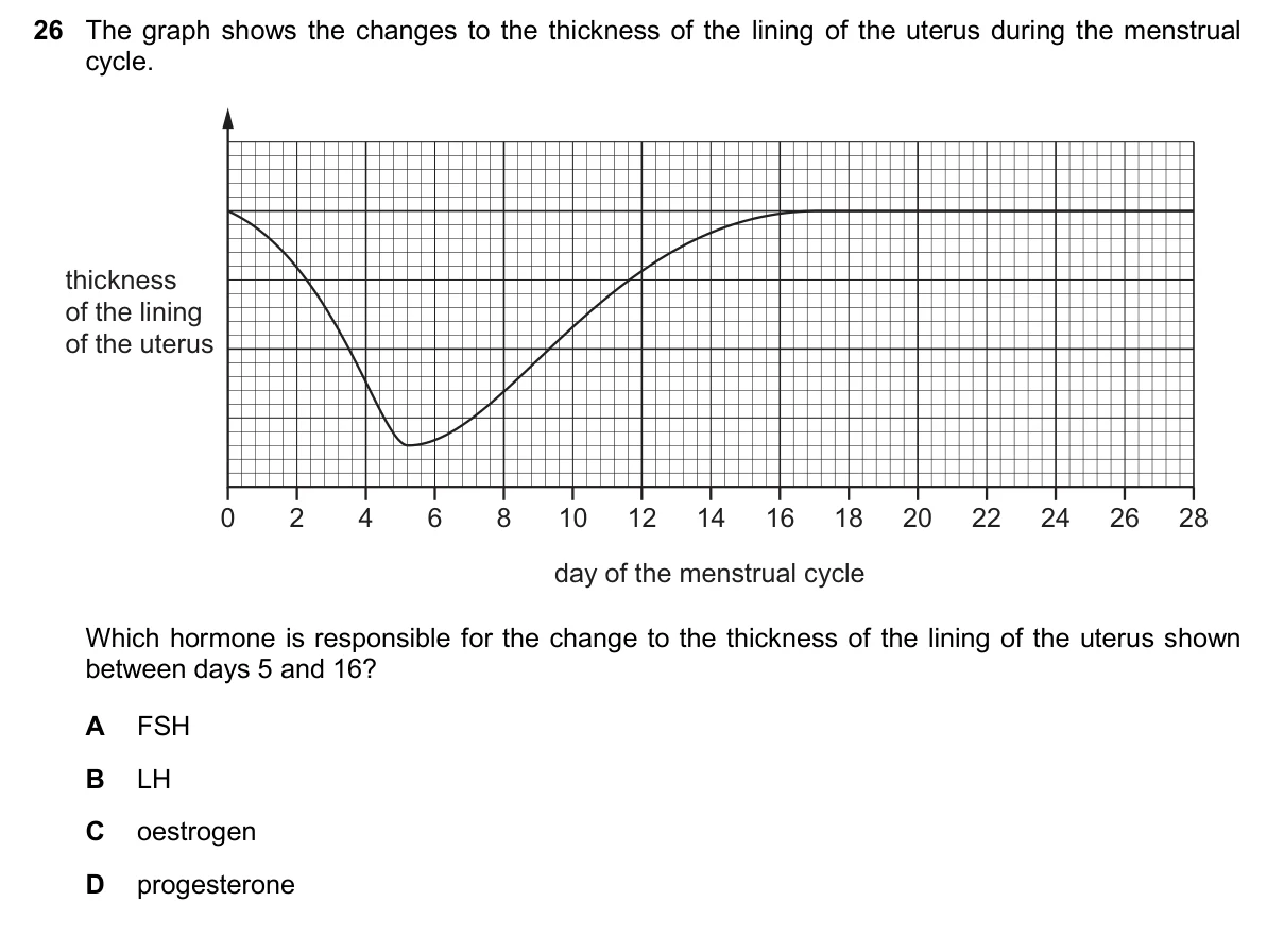 Question 26, November 2024, 0610 Paper 23