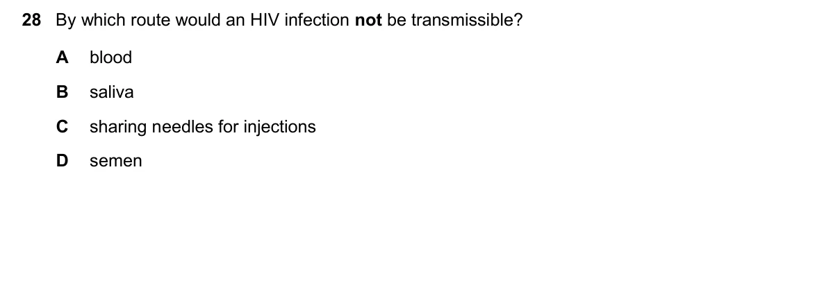 Question 28, November 2024, 0610 Paper 23