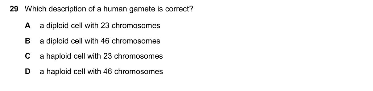 Question 29, November 2024, 0610 Paper 23