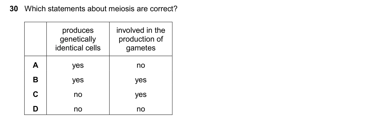 Question 30, November 2024, 0610 Paper 23