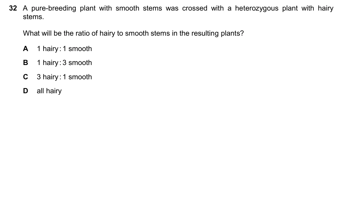 Question 32, November 2024, 0610 Paper 23