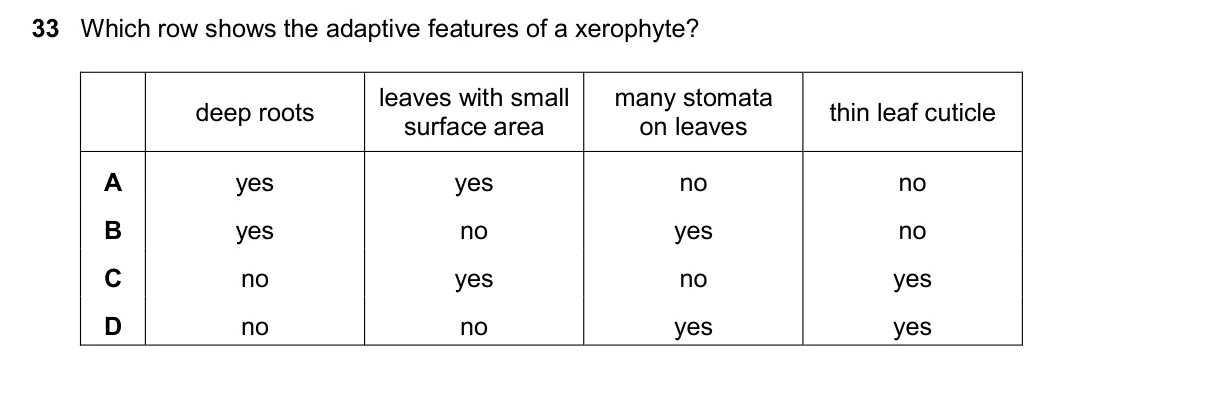Question 33, November 2024, 0610 Paper 23