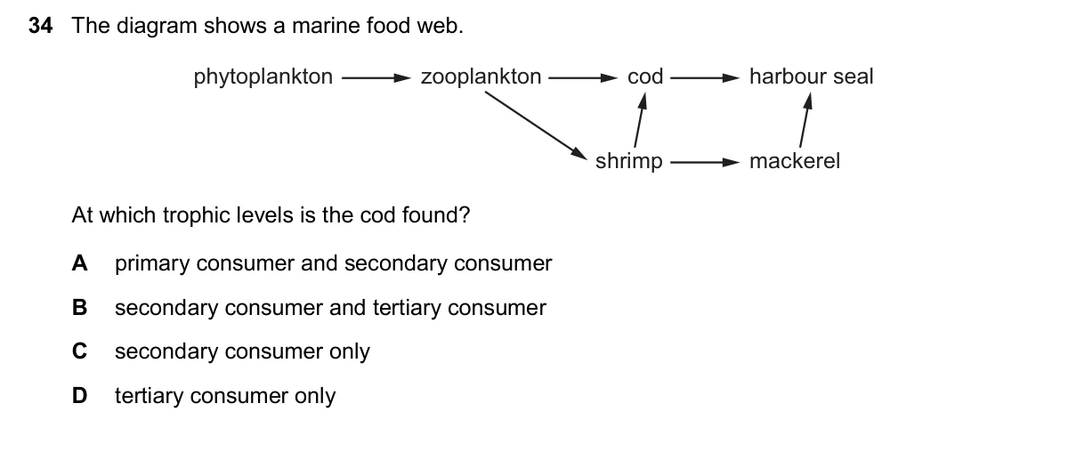 Question 34, November 2024, 0610 Paper 23