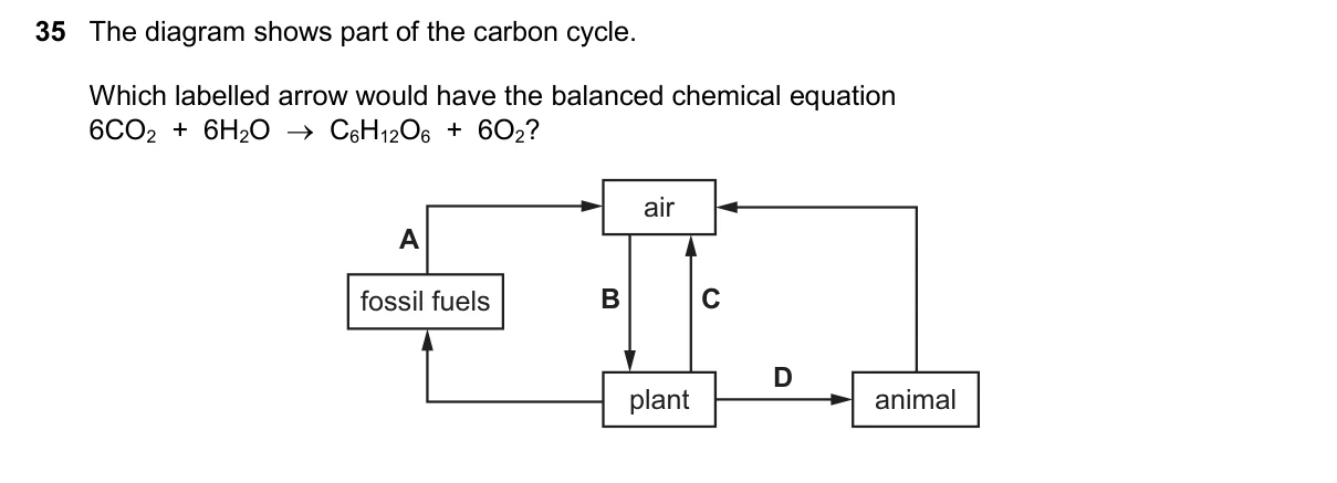 Question 35, November 2024, 0610 Paper 23