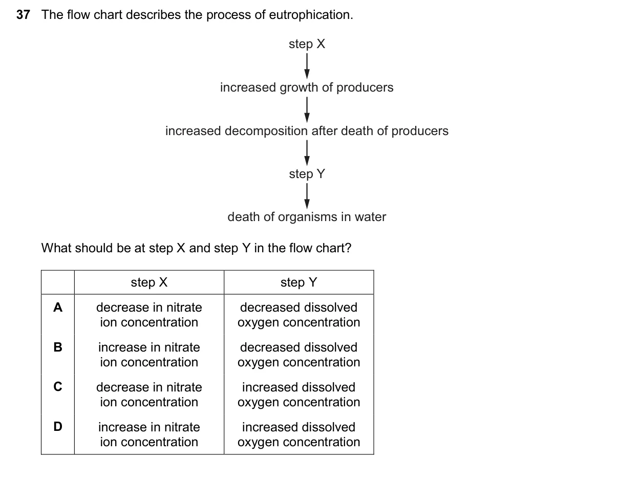 Question 37, November 2024, 0610 Paper 23