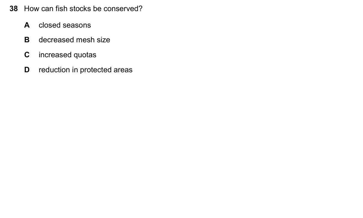 Question 38, November 2024, 0610 Paper 23