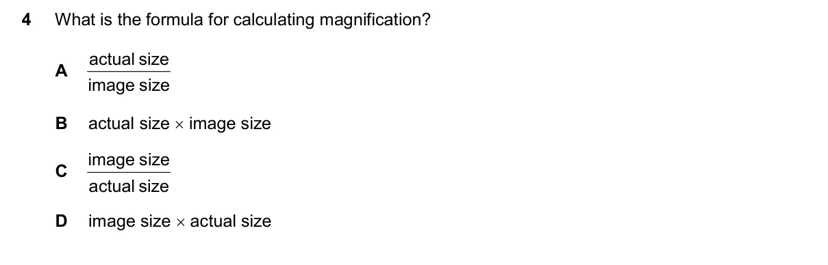 Question 4, November 2024, 0610 Paper 23