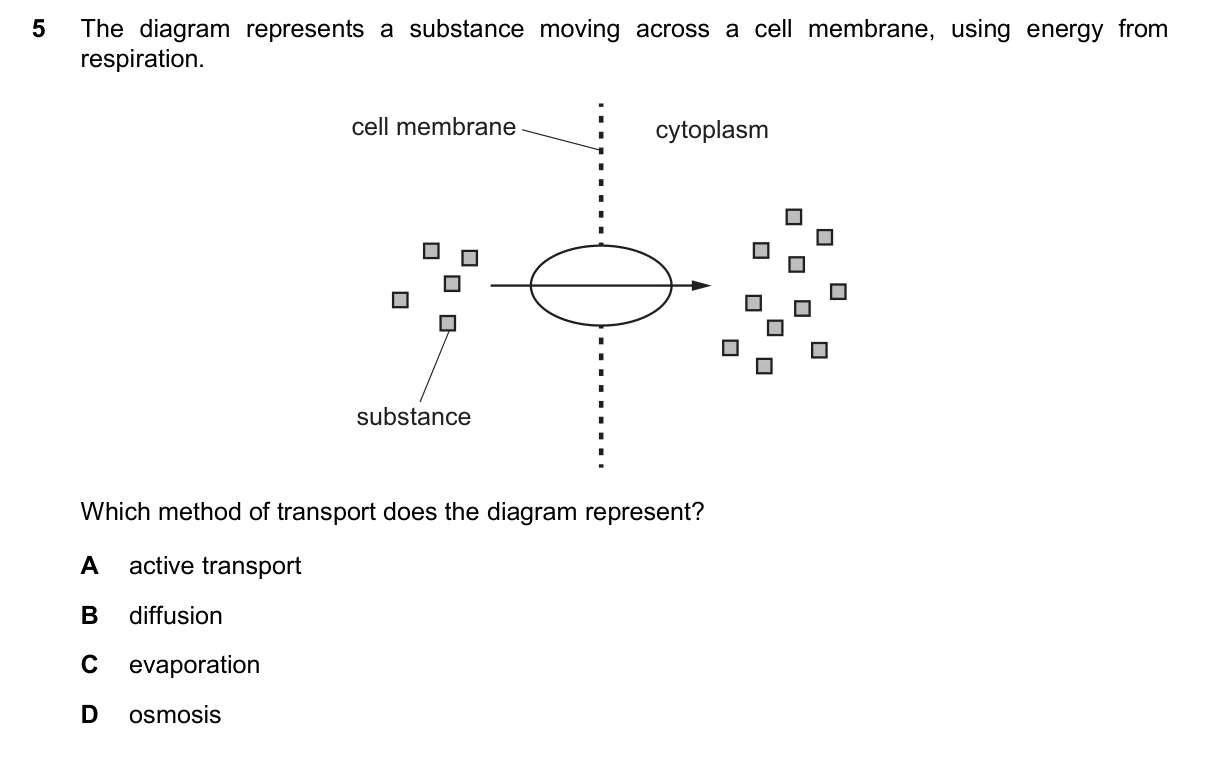 Question 5, November 2024, 0610 Paper 23
