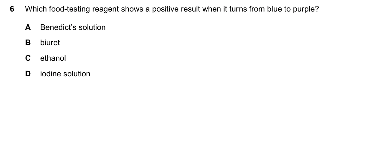 Question 6, November 2024, 0610 Paper 23