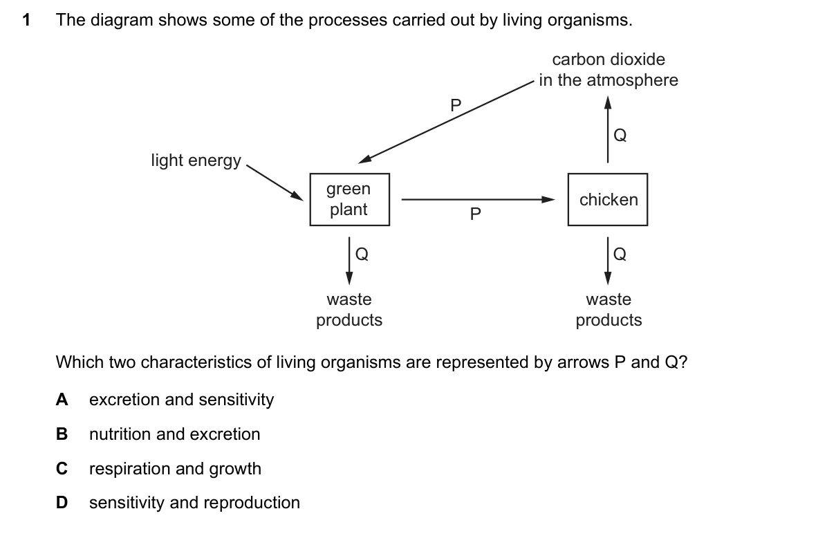 Question 1, March 2025, 0610 Paper 12