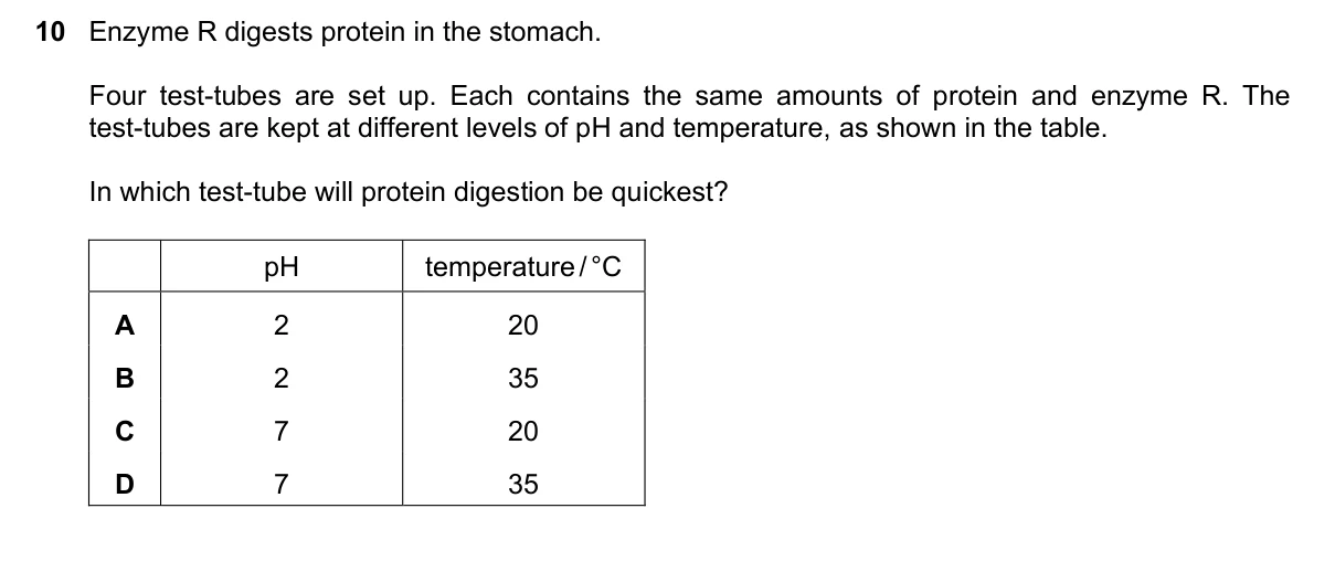 Question 10, March 2025, 0610 Paper 12