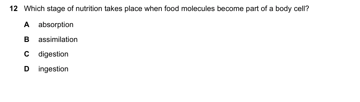 Question 12, March 2025, 0610 Paper 12