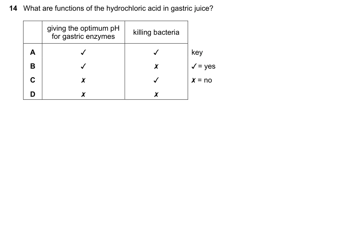 Question 14, March 2025, 0610 Paper 12
