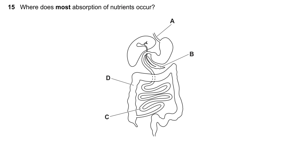 Question 15, March 2025, 0610 Paper 12