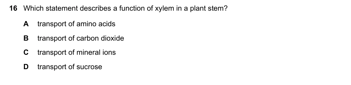 Question 16, March 2025, 0610 Paper 12