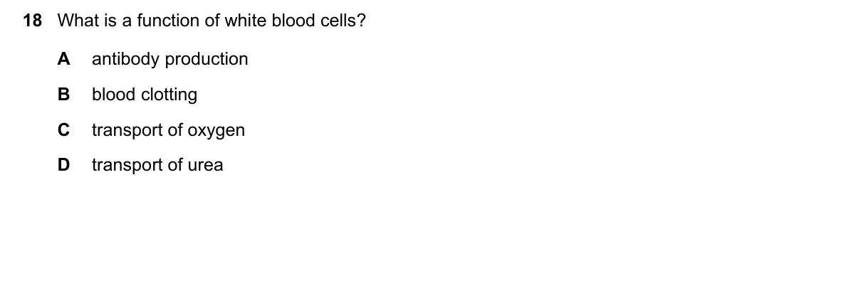 Question 18, March 2025, 0610 Paper 12