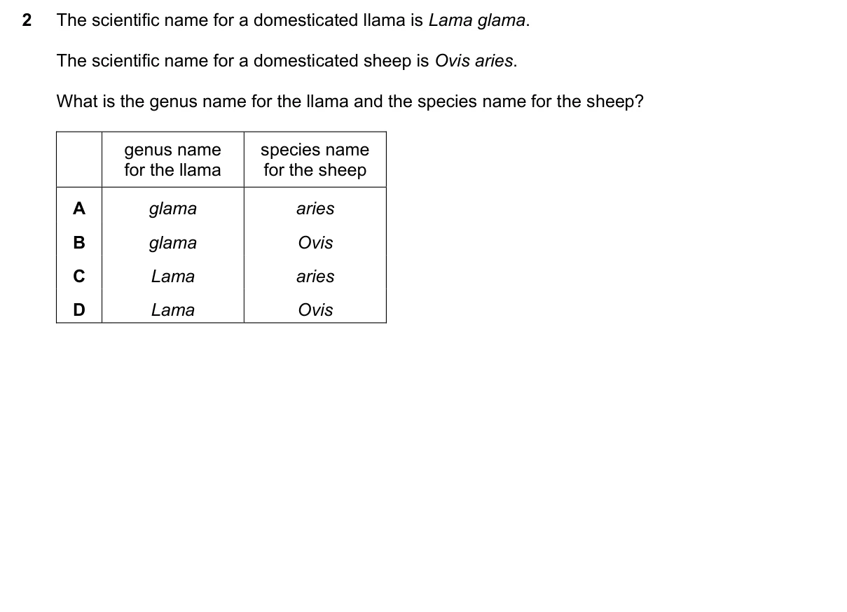Question 2, March 2025, 0610 Paper 12
