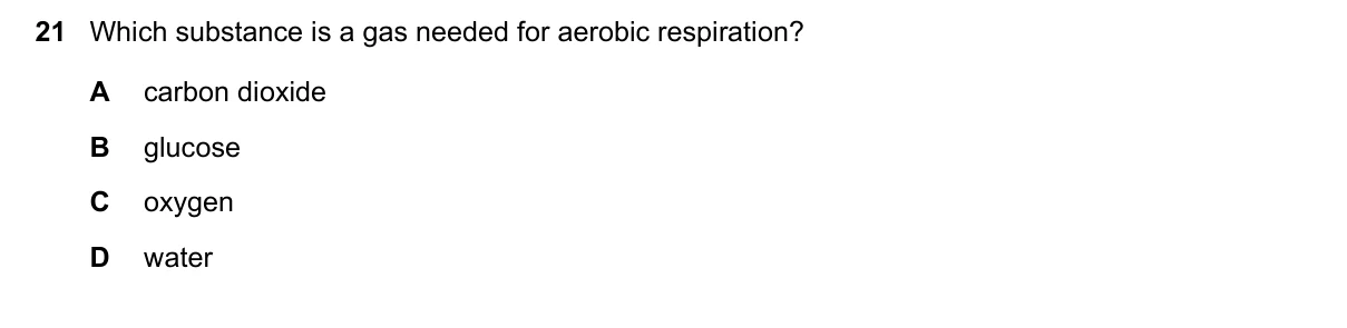 Question 21, March 2025, 0610 Paper 12