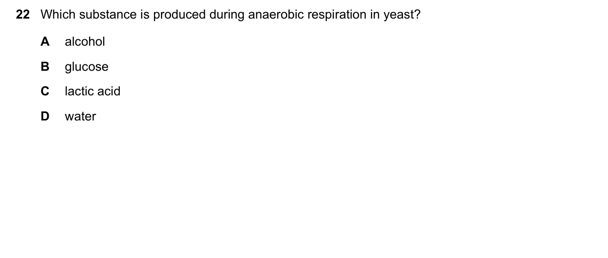Question 22, March 2025, 0610 Paper 12