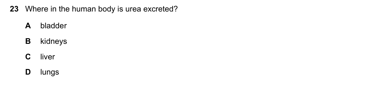Question 23, March 2025, 0610 Paper 12