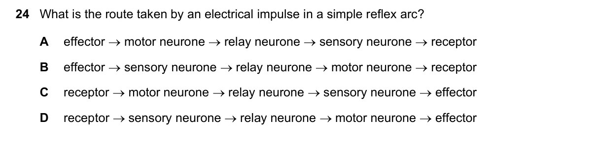 Question 24, March 2025, 0610 Paper 12