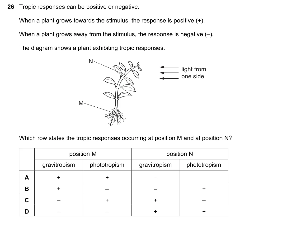 Question 26, March 2025, 0610 Paper 12
