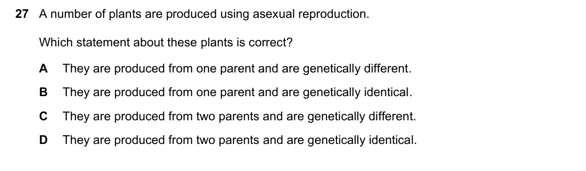 Question 27, March 2025, 0610 Paper 12