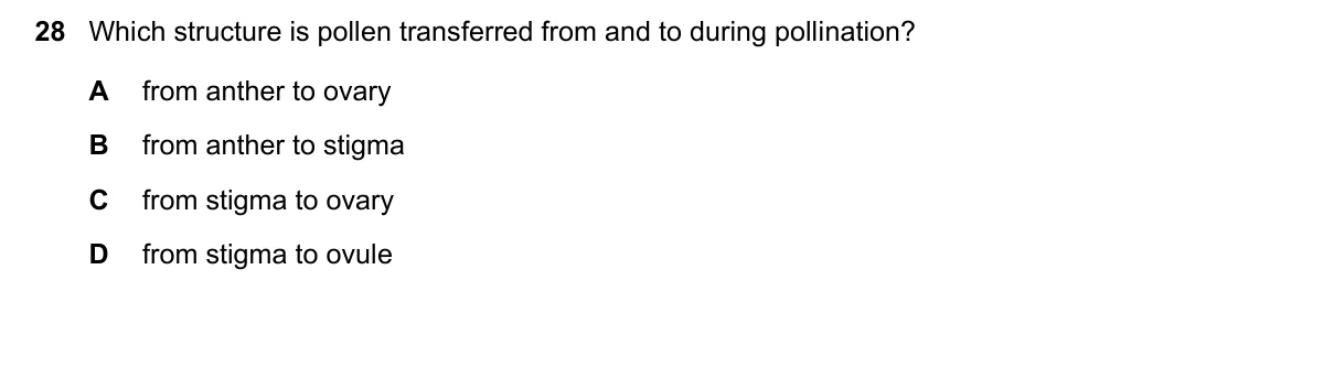 Question 28, March 2025, 0610 Paper 12