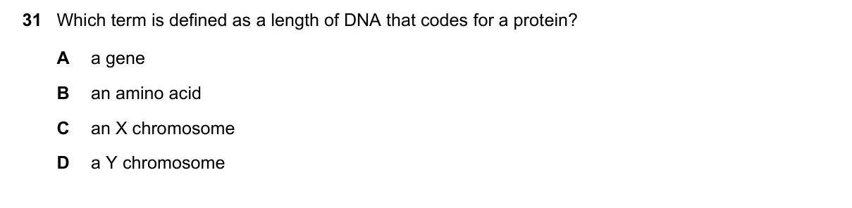 Question 31, March 2025, 0610 Paper 12