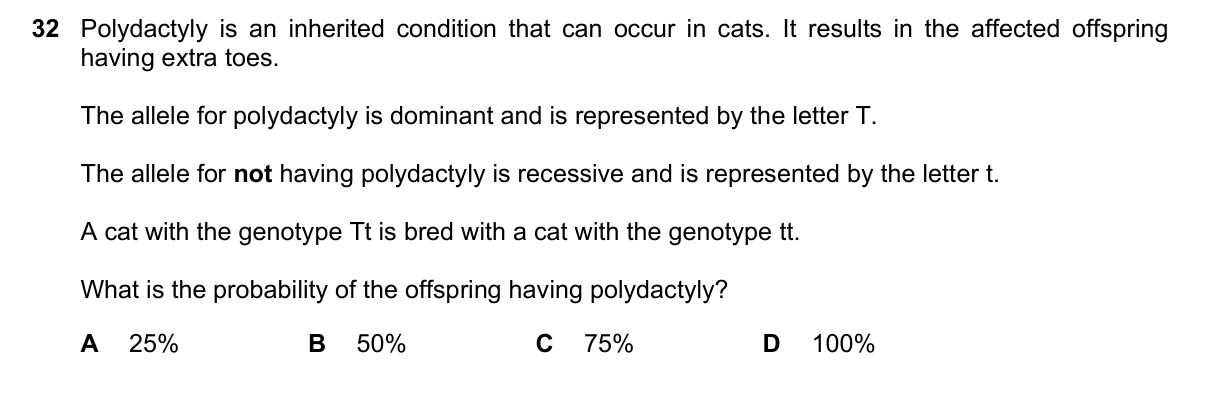 Question 32, March 2025, 0610 Paper 12