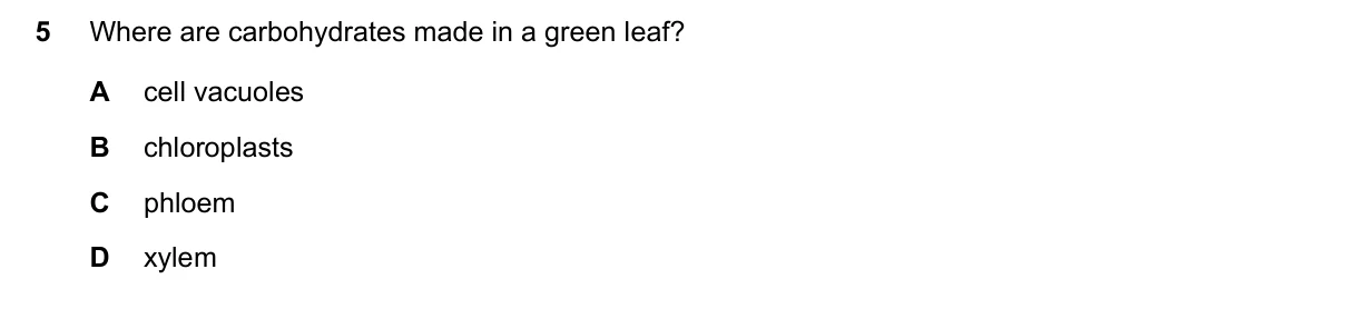 Question 5, March 2025, 0610 Paper 12