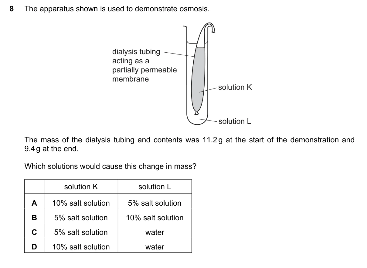 Question 8, March 2025, 0610 Paper 12