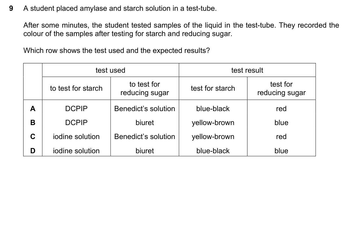 Question 9, March 2025, 0610 Paper 12