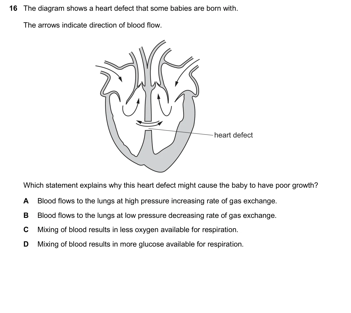 Question 16, March 2025, 0610 Paper 22